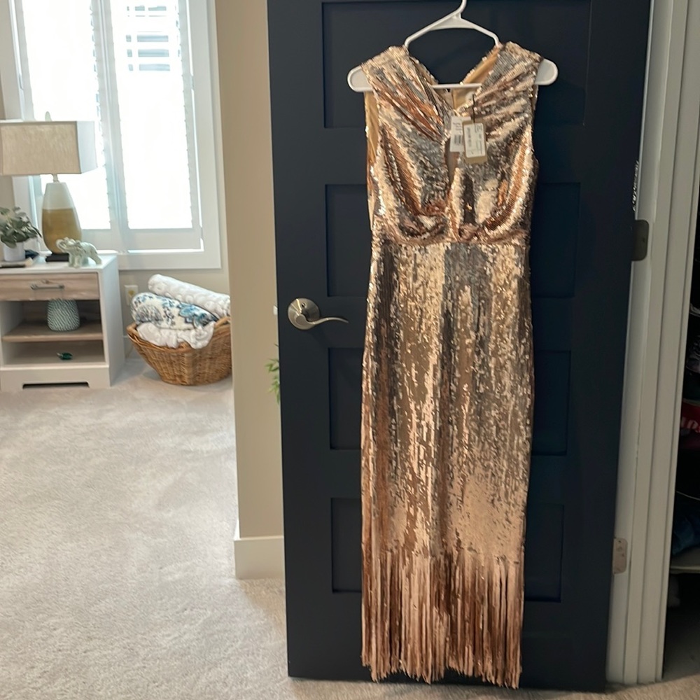 Rachel Comey champagne Gown